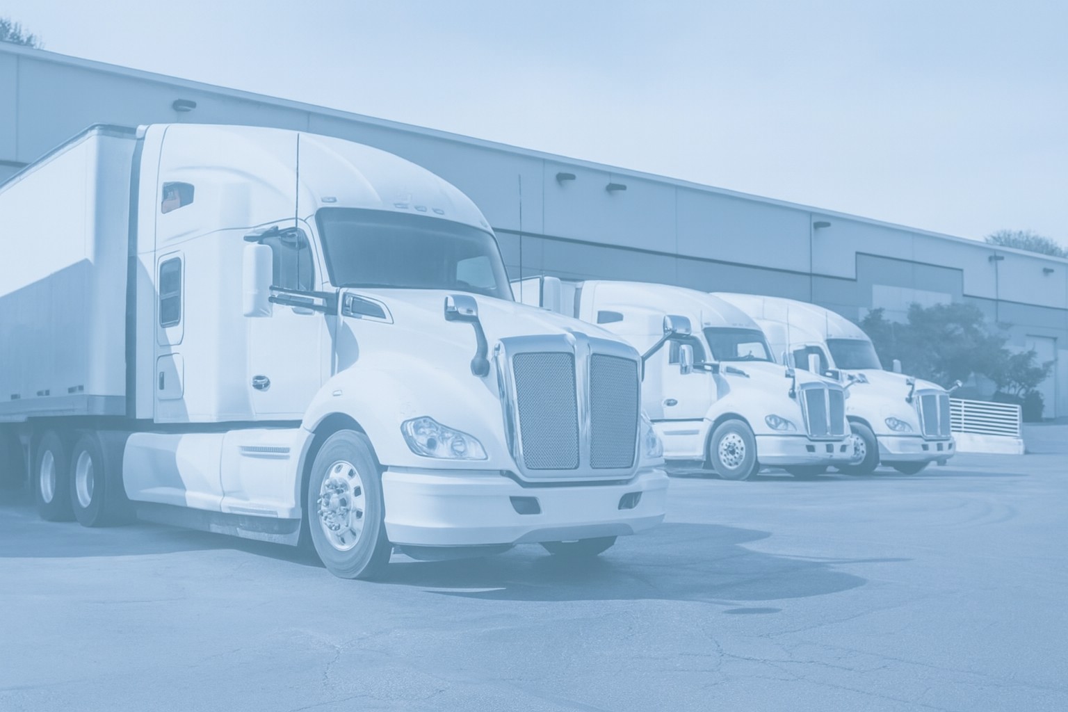 3 white trucks small truck fleet